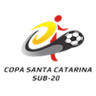Copa Santa Catarina